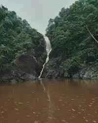 तिरु फॉल में पिकनिक के दौरान 3 भाइयों की डूबने से दर्दनाक मौत